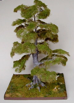 Tree image Tree image